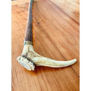 Canne  andouiller de cerf