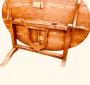 1761829-alb-6a0ada935a58e.jpg