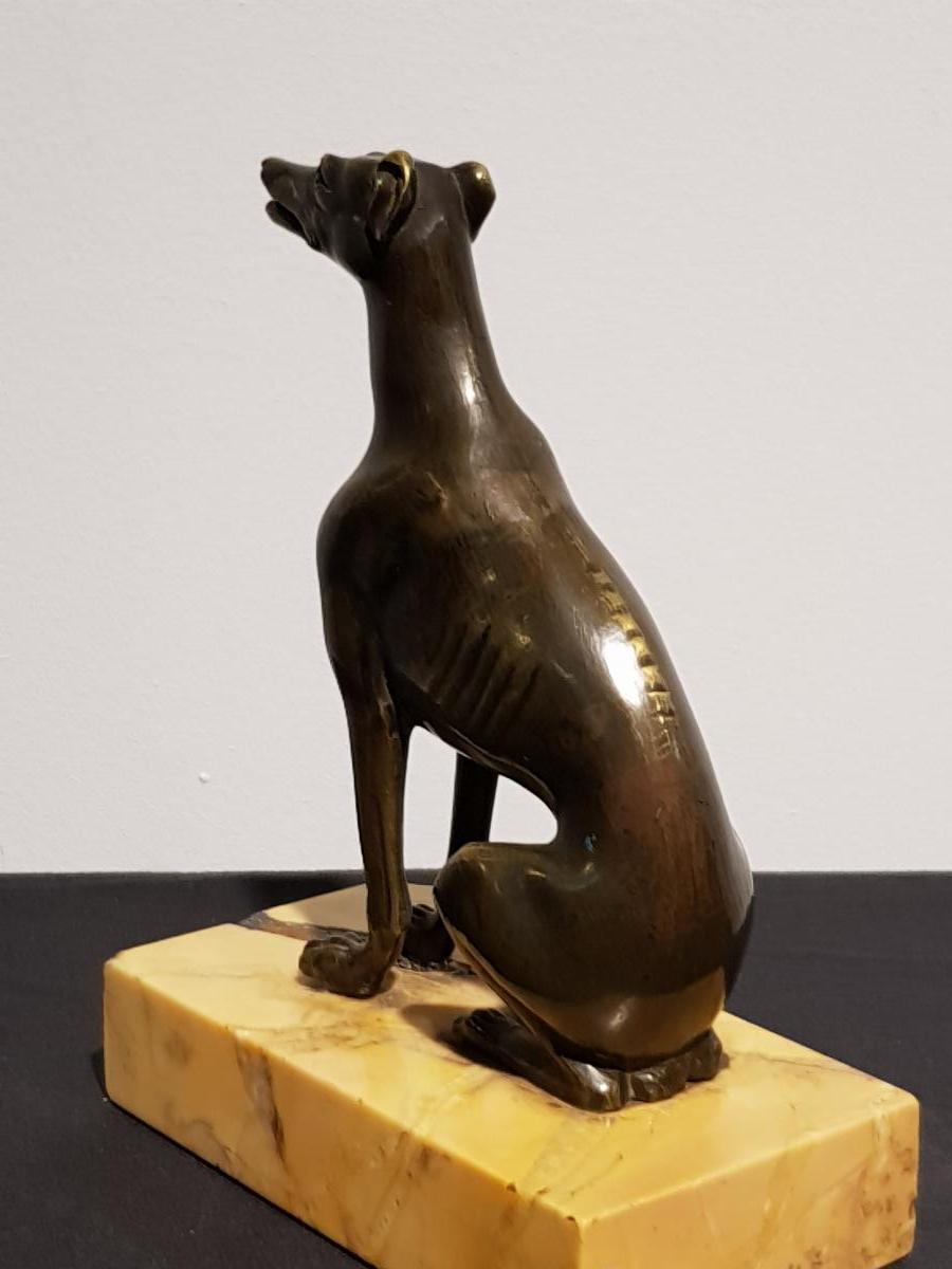 Lévrier En Bronze-photo-3
