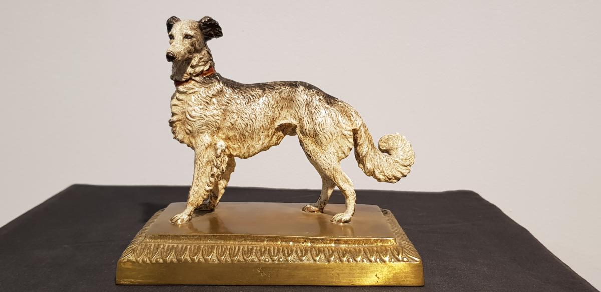 Chien Colley: Bronze De Vienne -photo-2