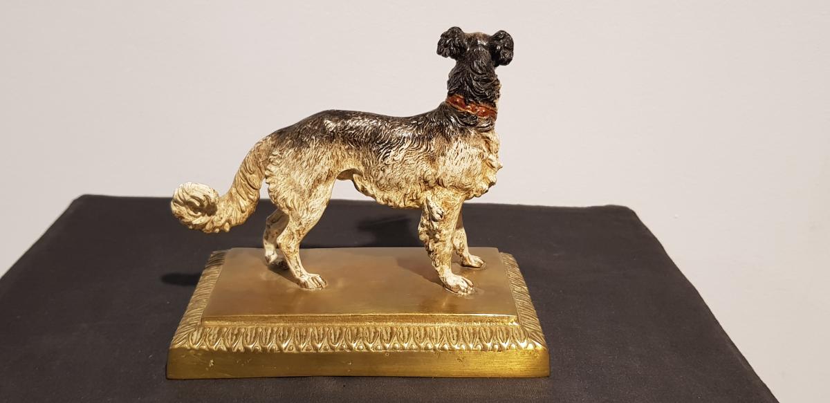 Chien Colley: Bronze De Vienne -photo-3