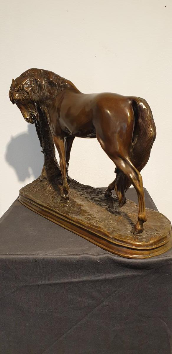 Cheval Au Palmier  Par Pierre-jules Mène (1810 - 1879)-photo-4