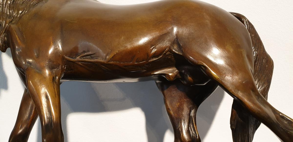 Cheval Au Palmier  Par Pierre-jules Mène (1810 - 1879)-photo-2