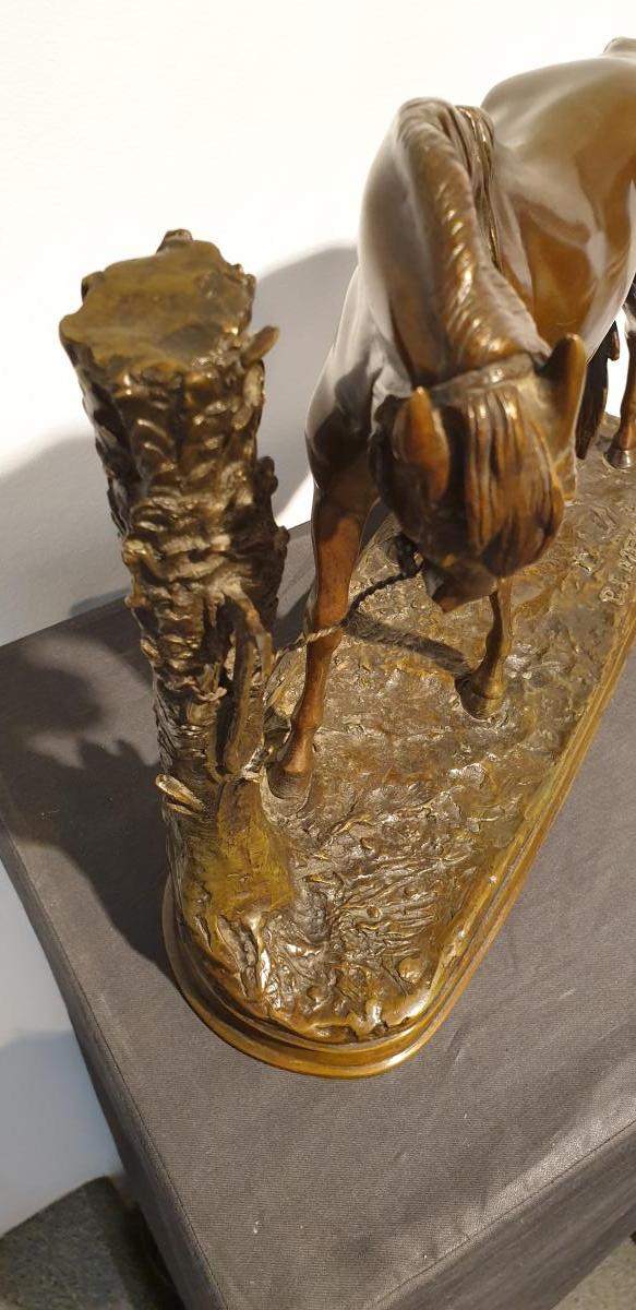 Cheval Au Palmier  Par Pierre-jules Mène (1810 - 1879)-photo-4