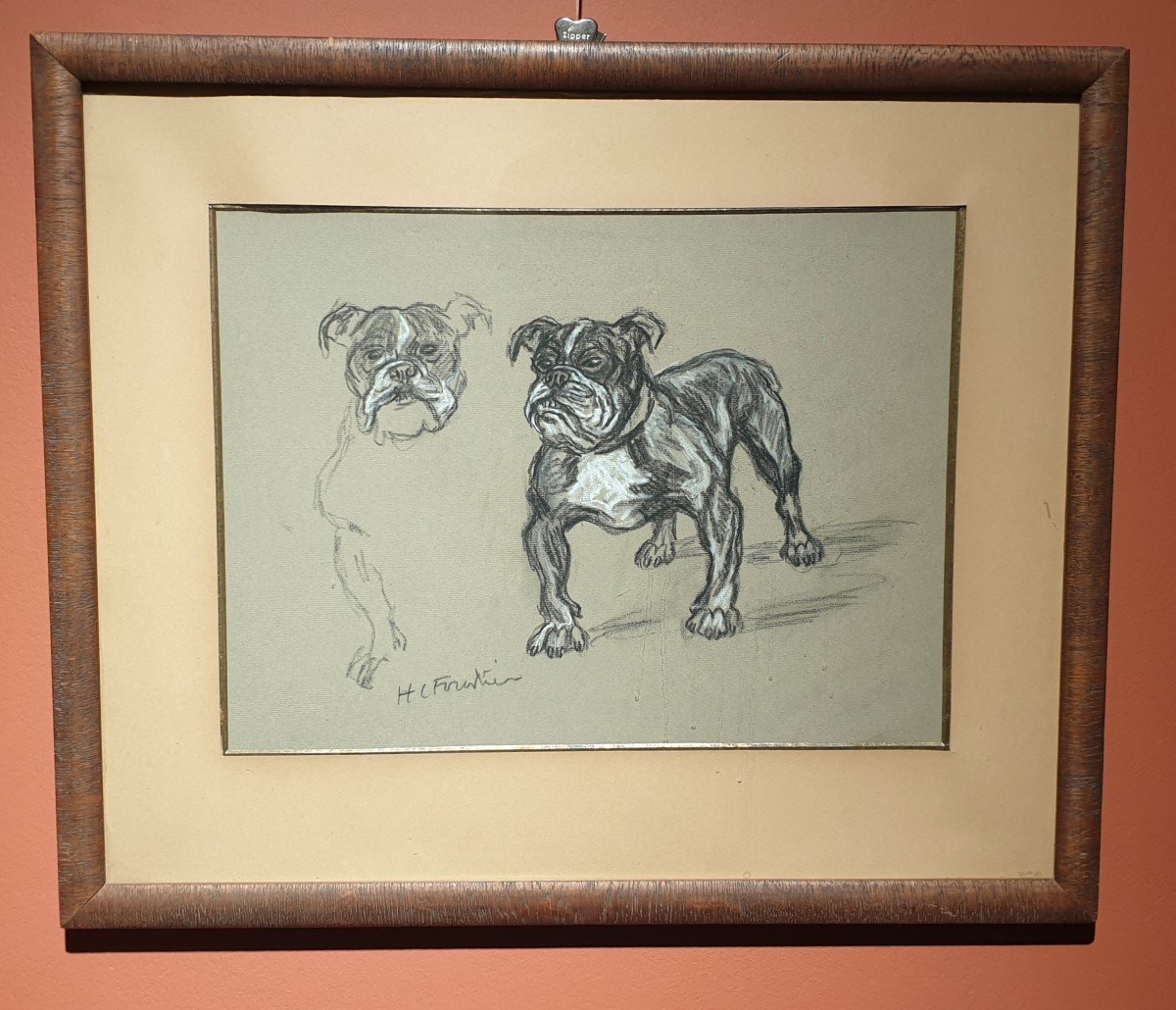 Dessin De Bouledogue - Henry-Claudius Forestier (1874 -1922)