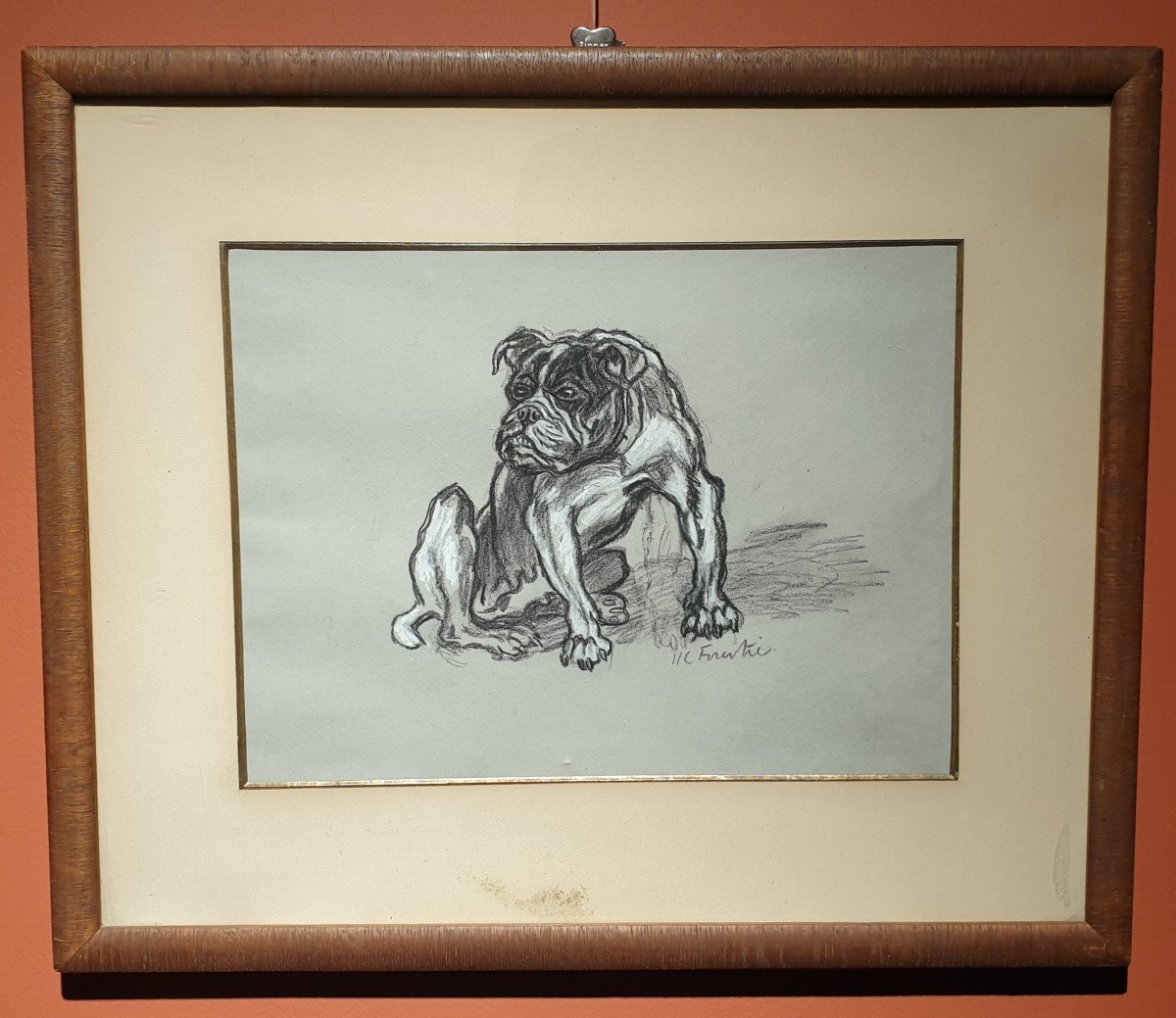 Dessin De Bouledogue - Henry-claudius Forestier (1874 -1922)-photo-2