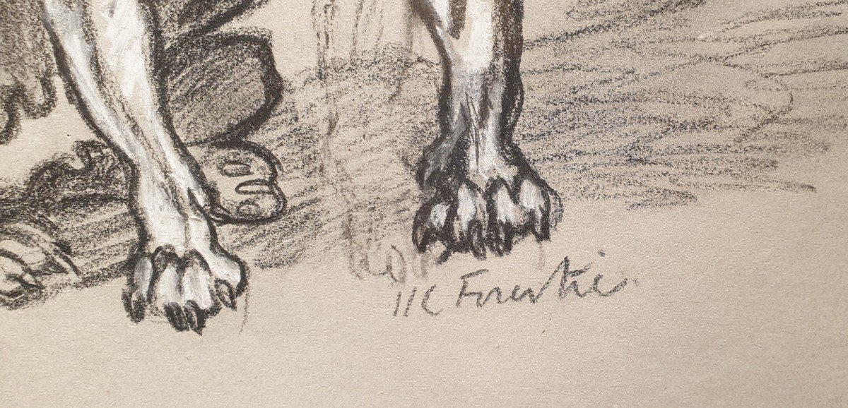 Dessin De Bouledogue - Henry-claudius Forestier (1874 -1922)-photo-4