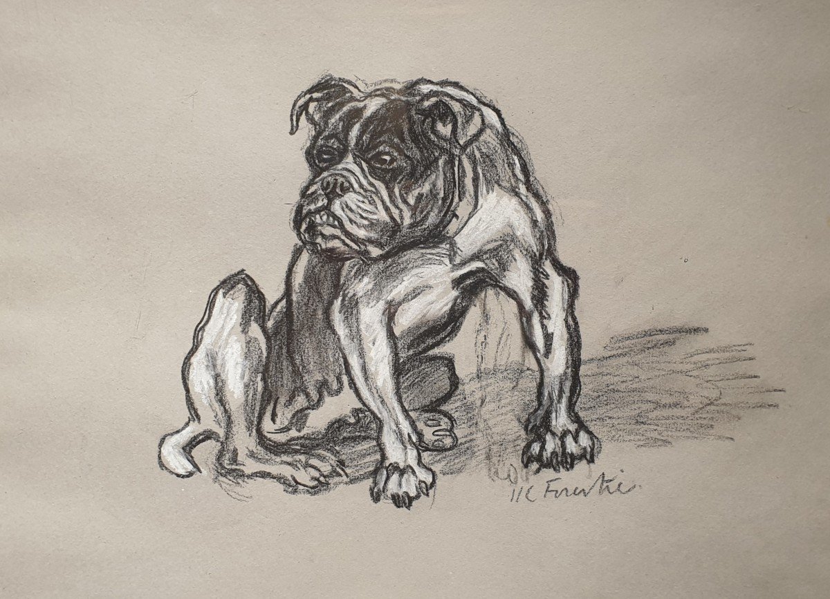 Dessin De Bouledogue - Henry-claudius Forestier (1874 -1922)