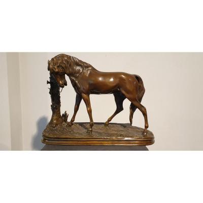 Cheval Au Palmier  Par Pierre-jules Mène (1810 - 1879)
