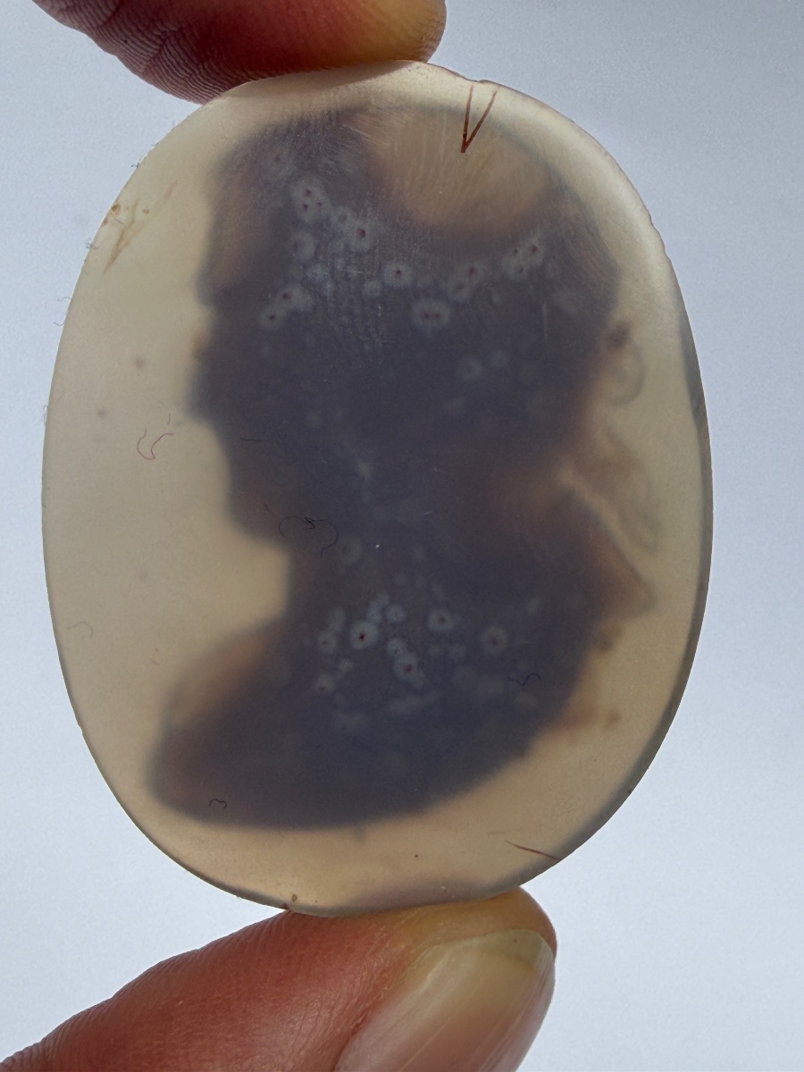 Cameo Figuring Caracala-photo-3