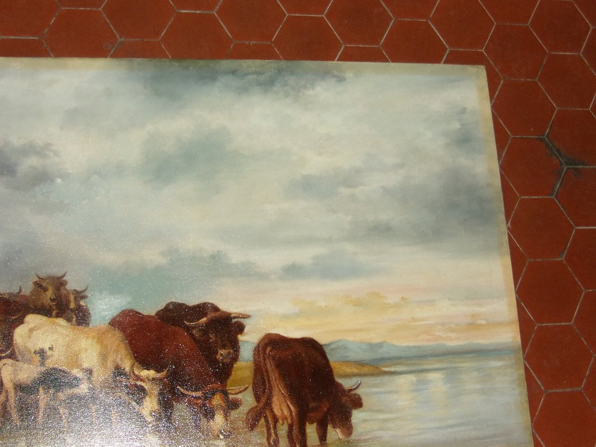 Scene Of A Herd Of Cows Drinking, 19th Century Painting.-photo-2