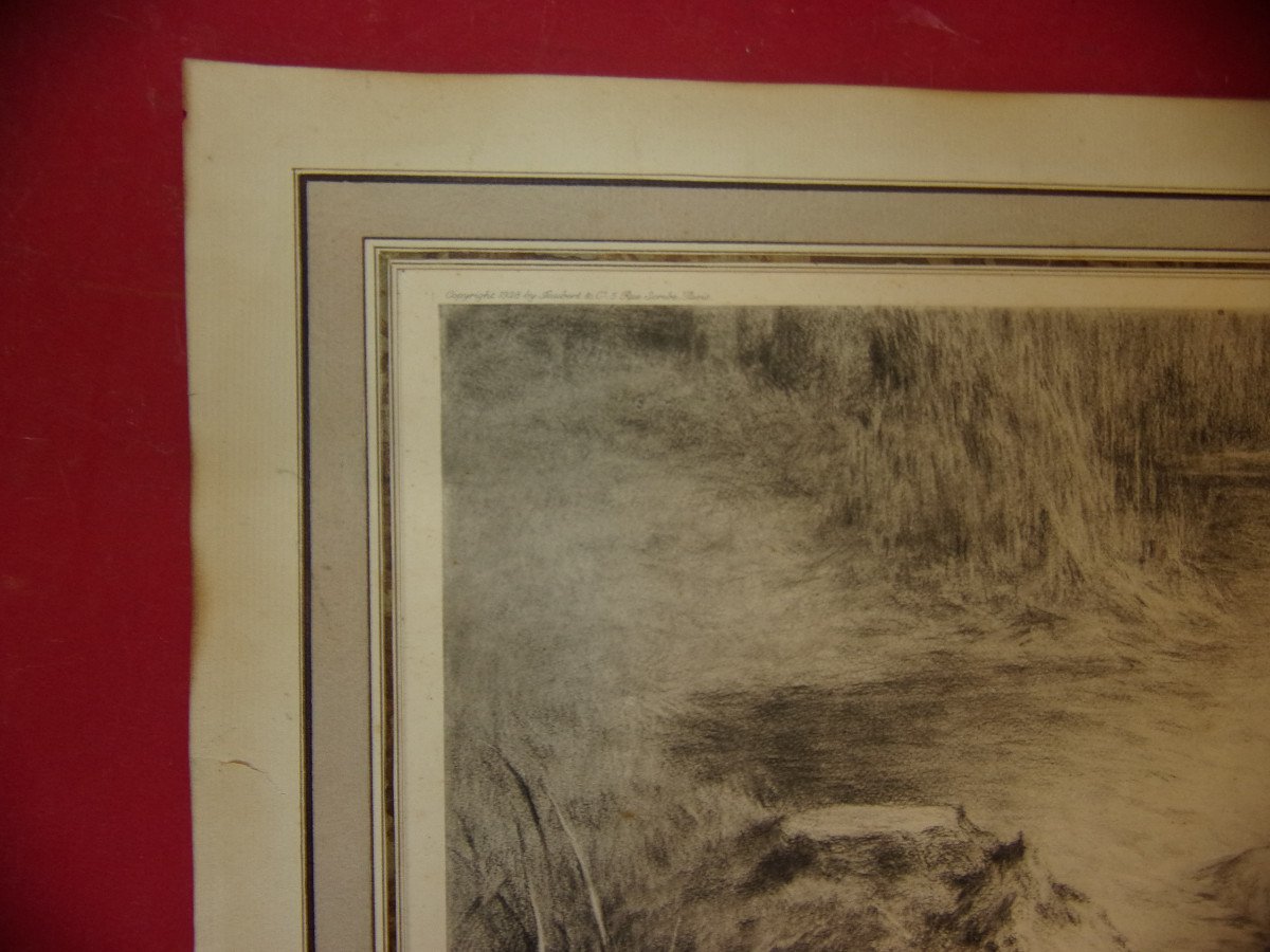 Setters Chasing A Duck, Hunting Scene, Lithograph From The Early 20th Century.-photo-1