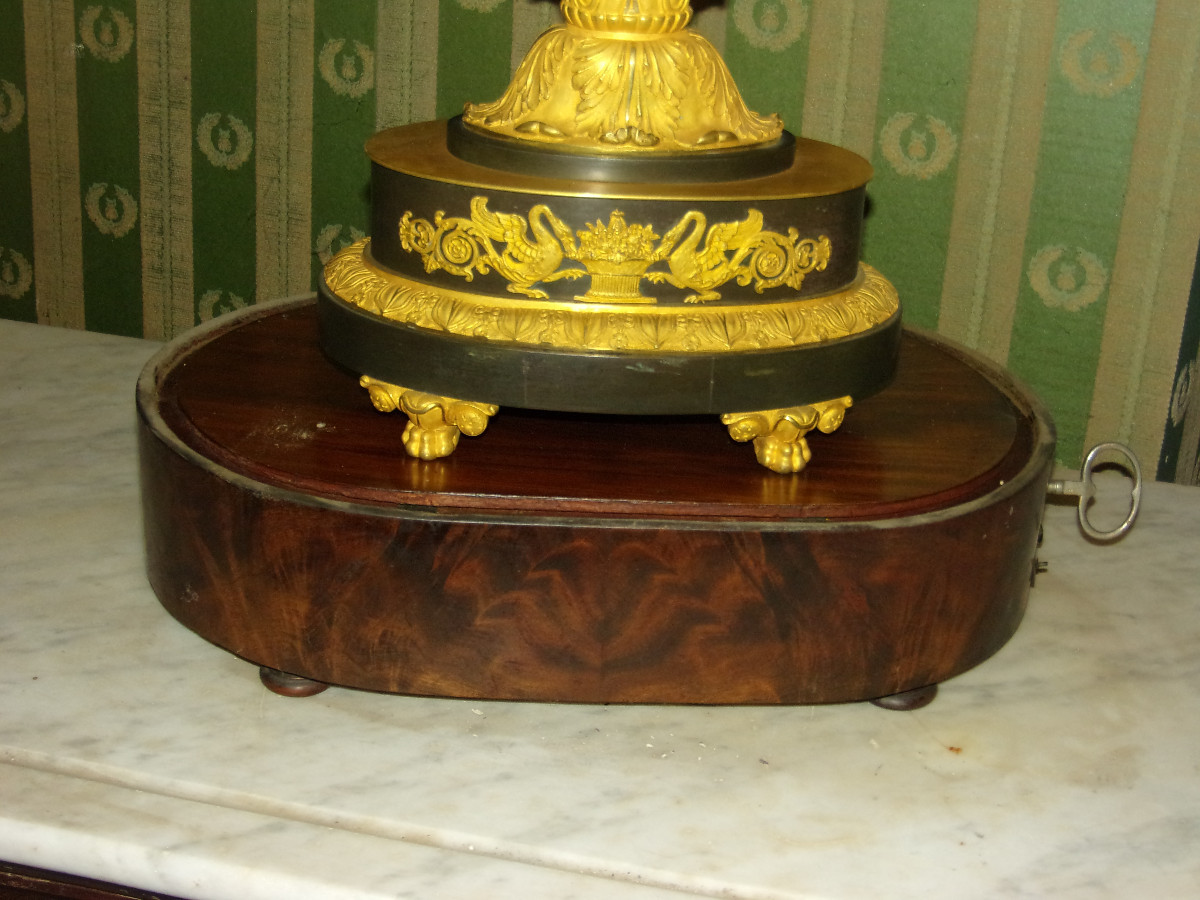 Grande composition musicale sous globe, oiseaux naturalisés époque 19ème.-photo-6