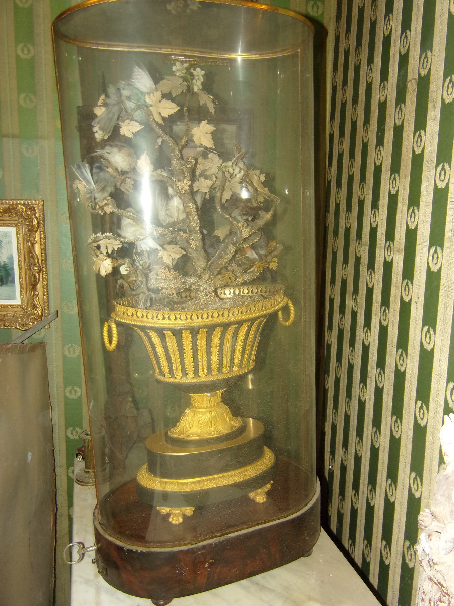 Grande composition musicale sous globe, oiseaux naturalisés époque 19ème.-photo-7