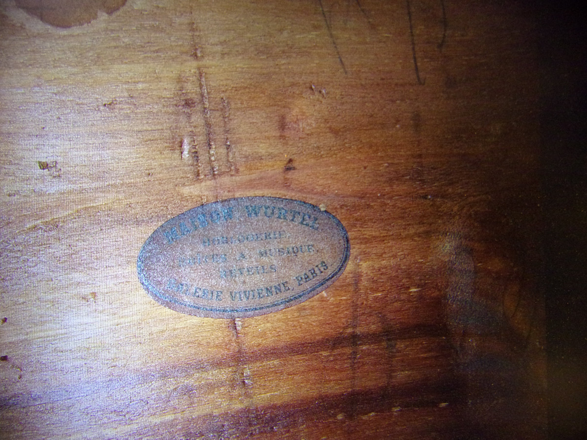 Grande composition musicale sous globe, oiseaux naturalisés époque 19ème.-photo-8