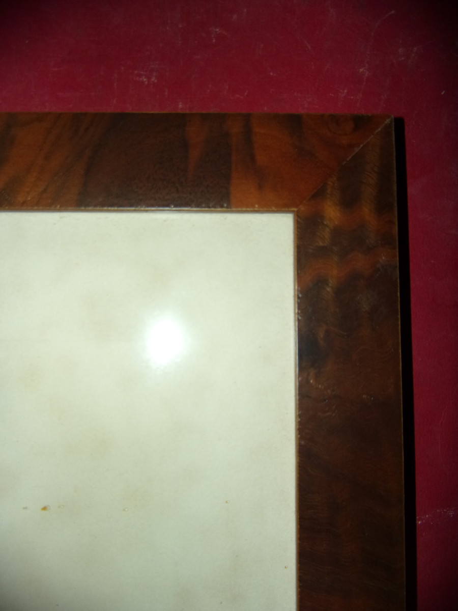  Riab, Setter Irlandais et perdrix rouge,  lithographie encadrée époque début 20 ème.-photo-2