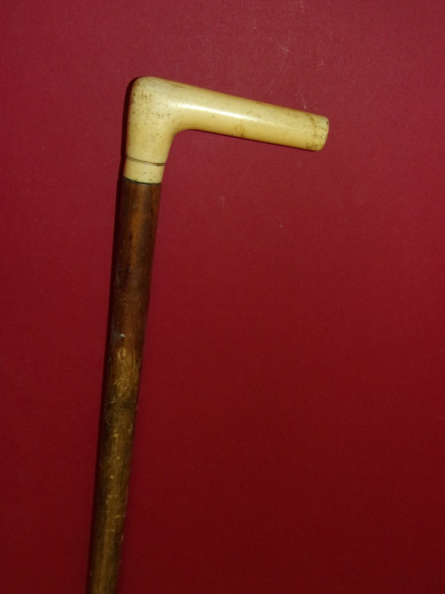 Canne de marche  à pommeau crosse coudé , époque 19ème.