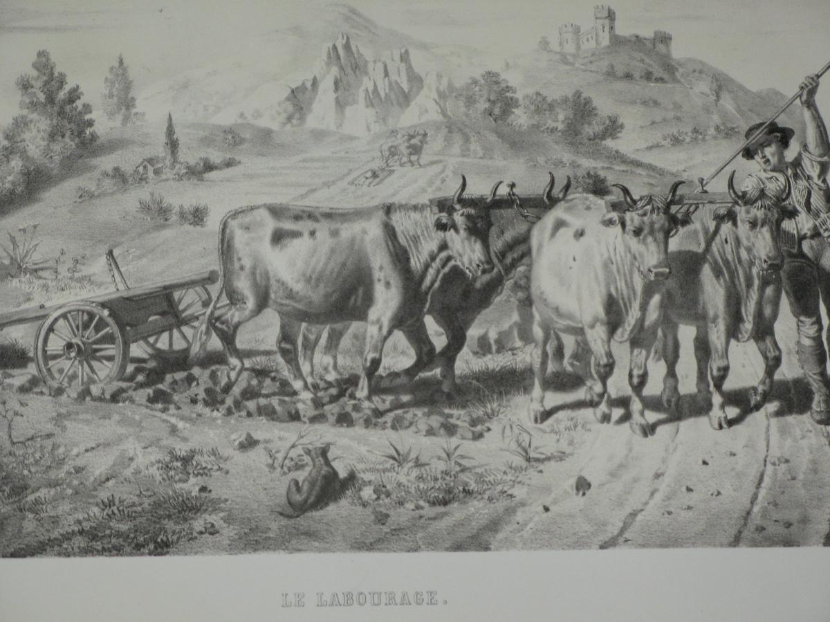Paysage, le "Labourage", lithographie époque 19ème.-photo-4