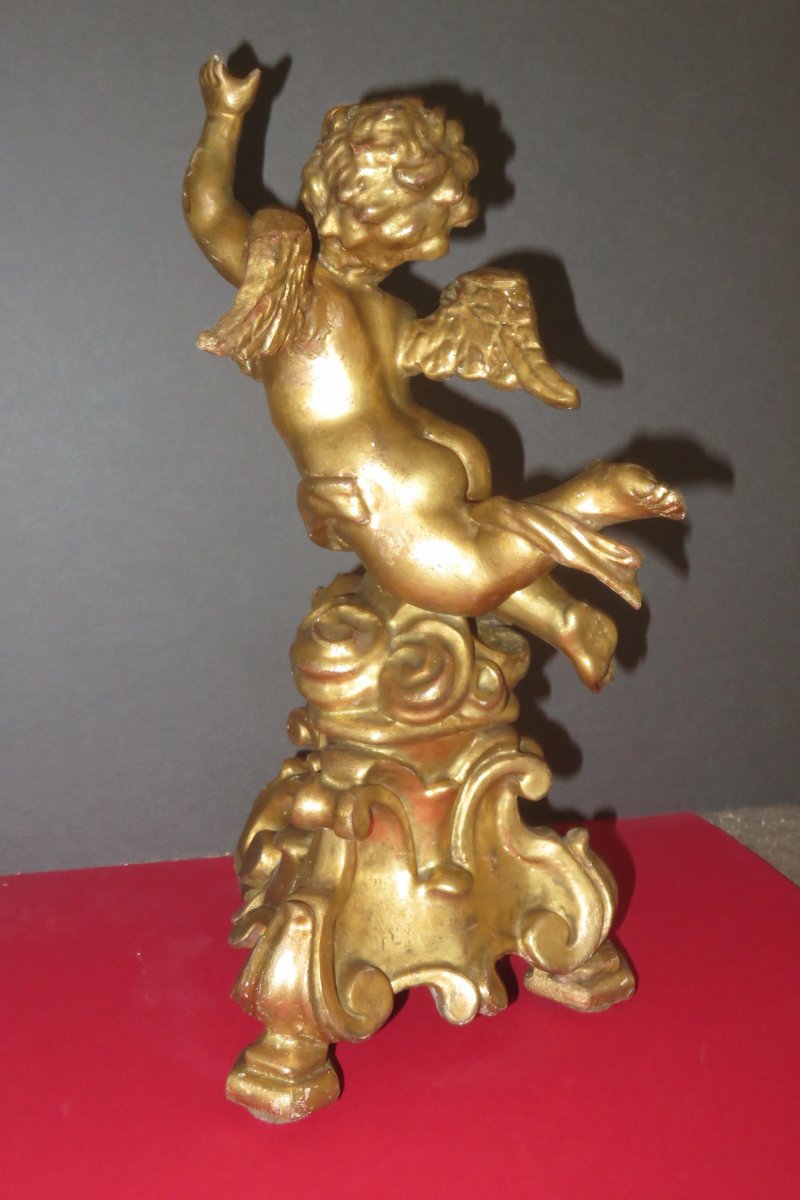 Winged Angel, Venetian Statue In Golden Wood, 19th Time.-photo-4