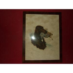 Riab, Irish Setter And Red-legged Partridge, Framed Lithograph, Early 20th Century.