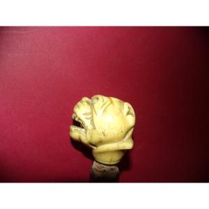 Canne de marche, pommeau sculpté tête de dogue, époque 19ème.
