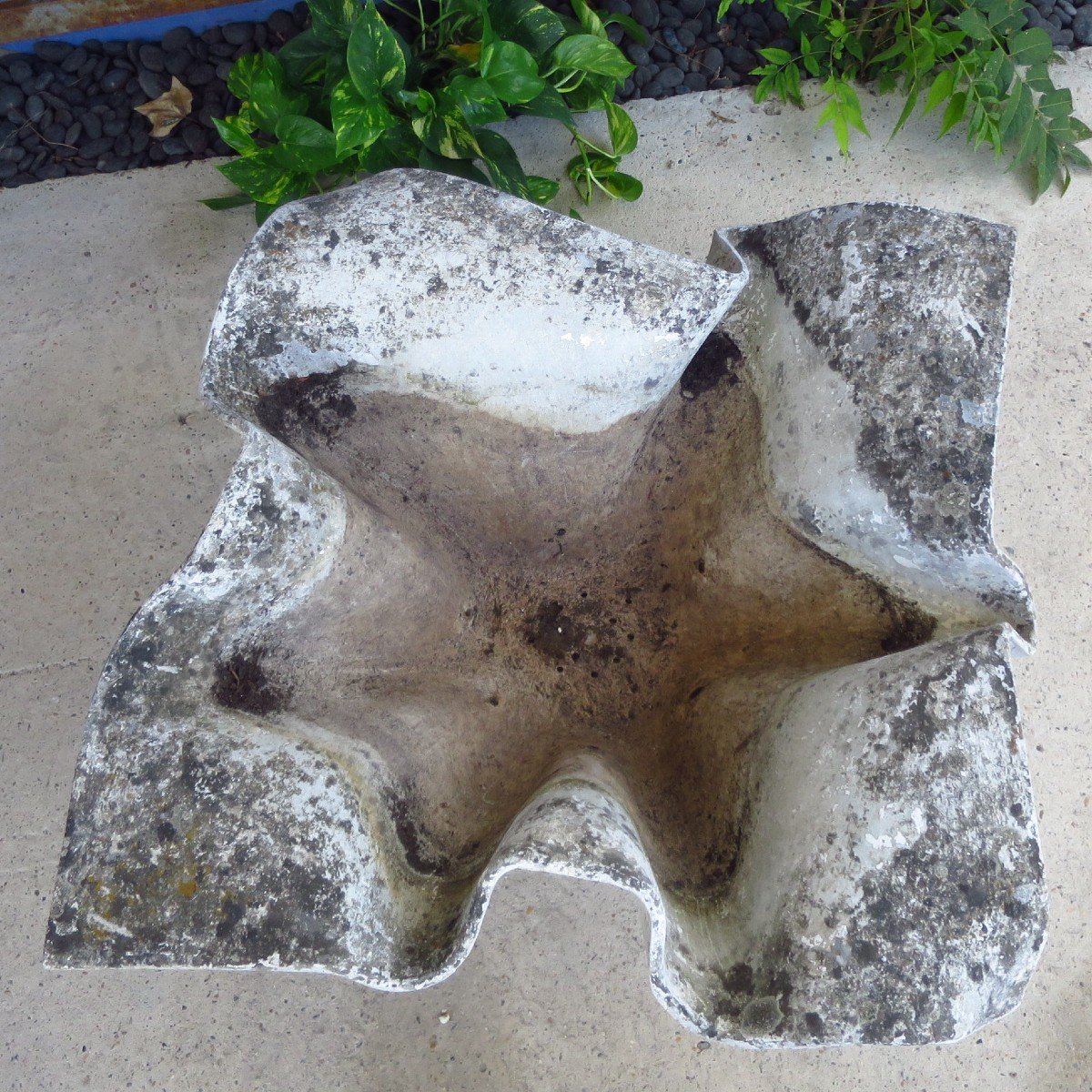 Jardinière "oreille d'éléphant" de Willy Gulh, grand modèle, vers 1950-photo-2