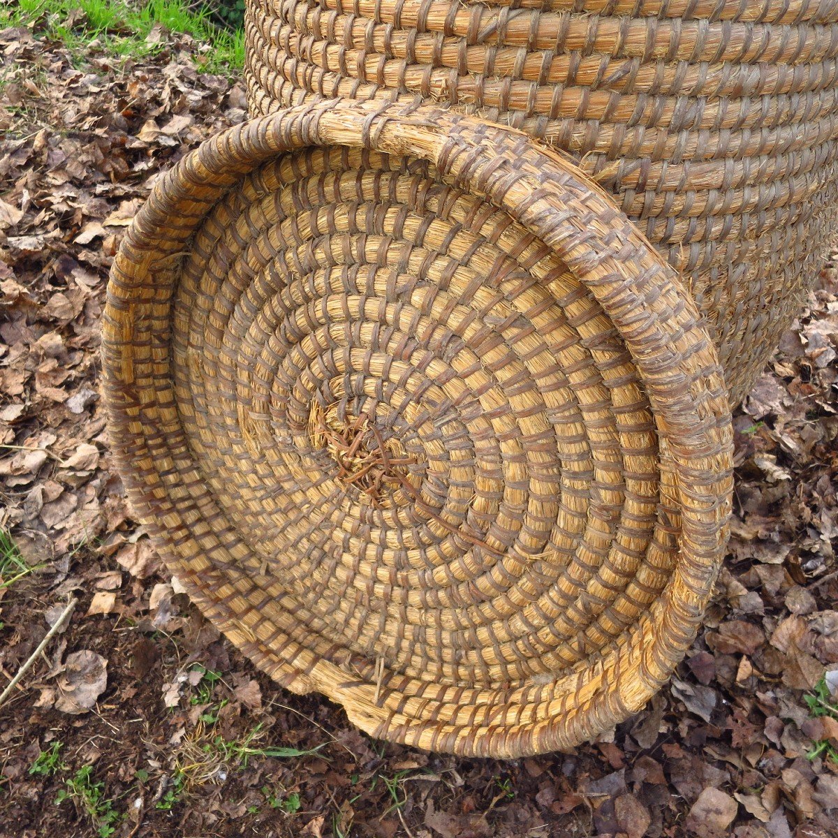 Grain Basket, France 19th Century, In Bramble And Straw, Very Large Model-photo-4