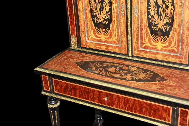 Cabinet De Style Louis XVI De 1800 En Ronce Et ébène-photo-1