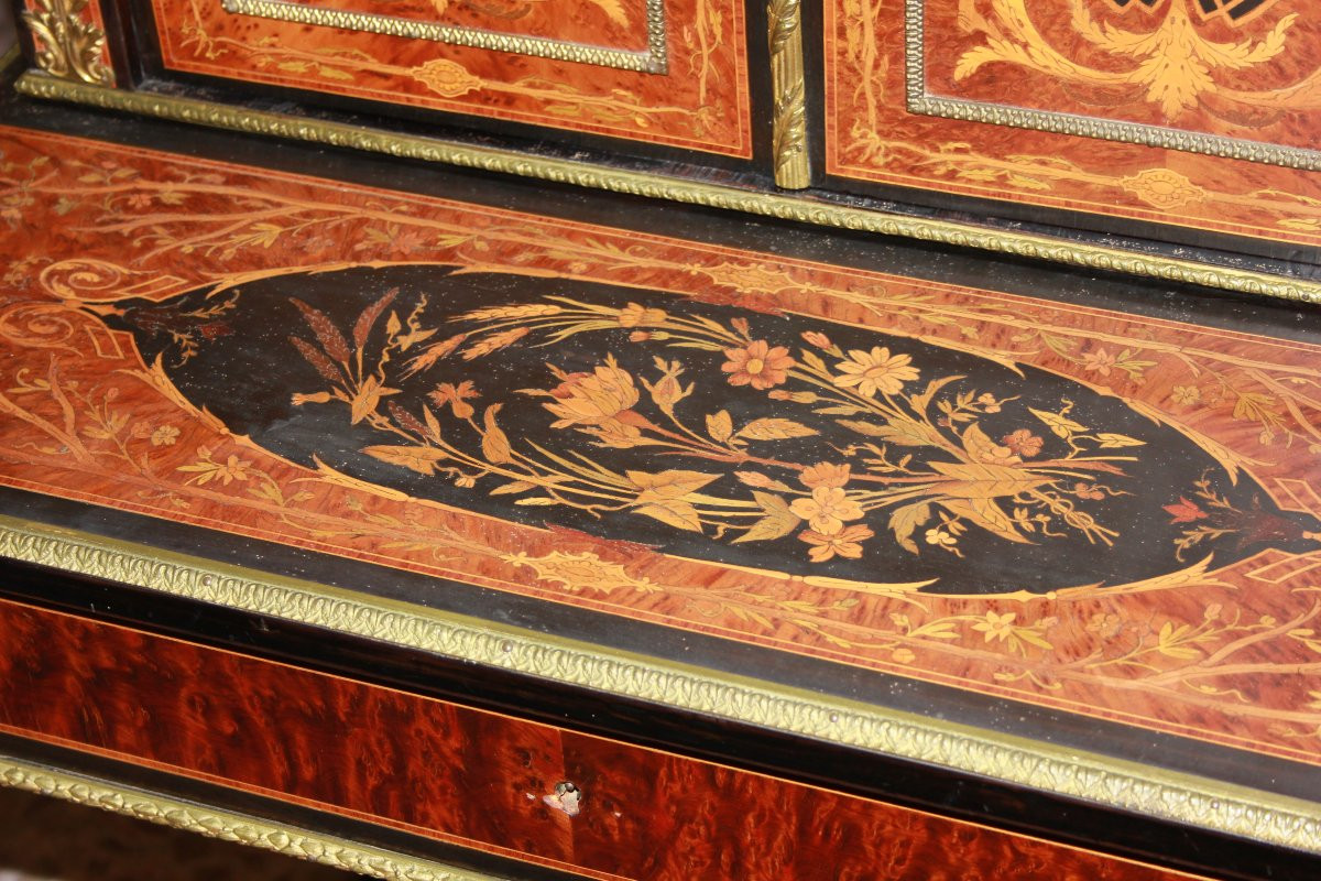 Cabinet De Style Louis XVI De 1800 En Ronce Et ébène-photo-2