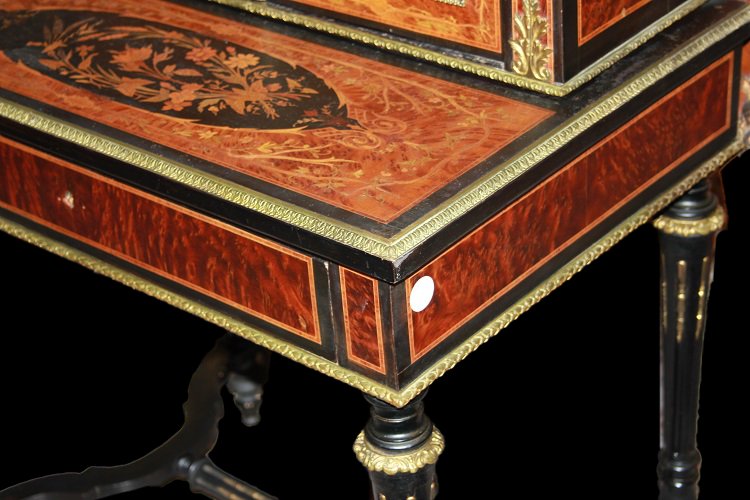 Cabinet De Style Louis XVI De 1800 En Ronce Et ébène-photo-4