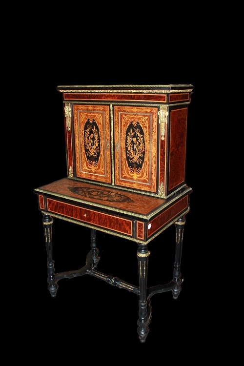 Cabinet De Style Louis XVI De 1800 En Ronce Et ébène-photo-5