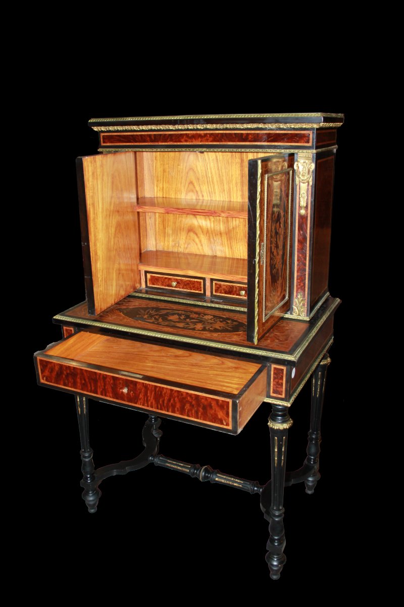 Cabinet De Style Louis XVI De 1800 En Ronce Et ébène-photo-7