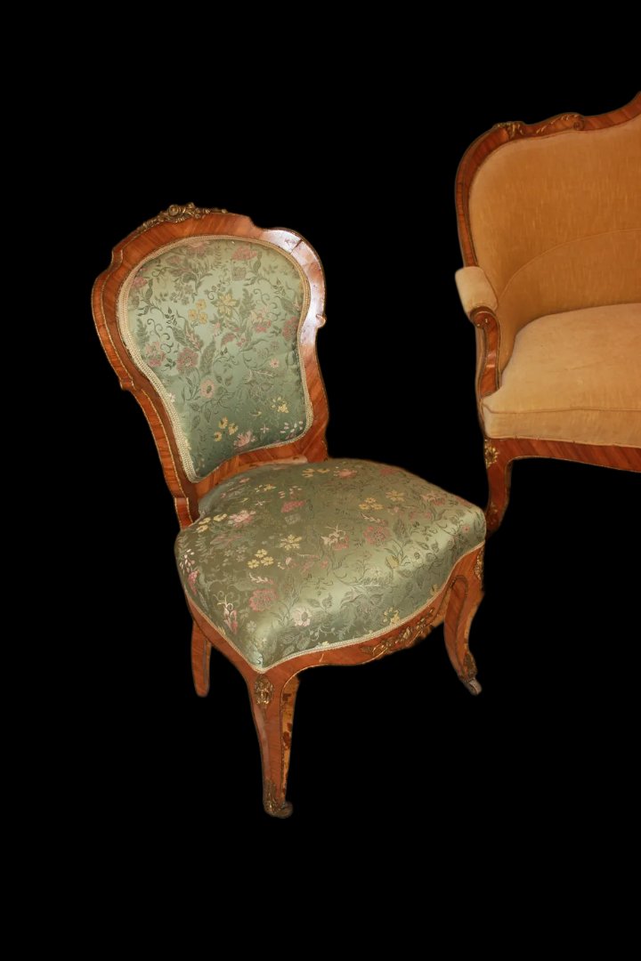 French Living Room From The Second Half Of The 19th Century, Louis XV Style In Rosewood-photo-7