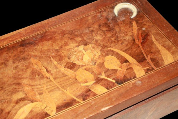 Art Nouveau-style Storage Box From The Early 1900s-photo-2
