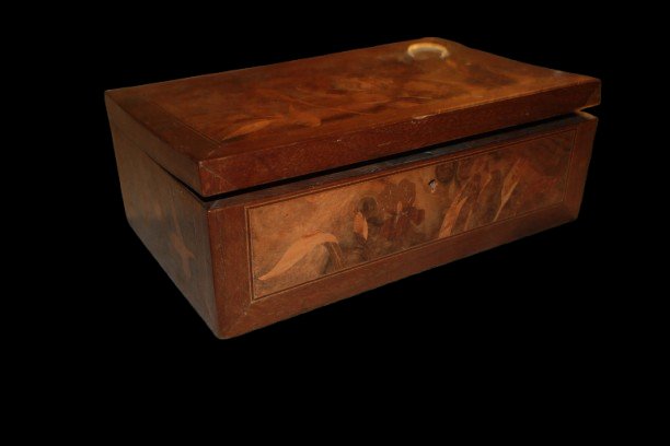 Art Nouveau-style Storage Box From The Early 1900s-photo-3