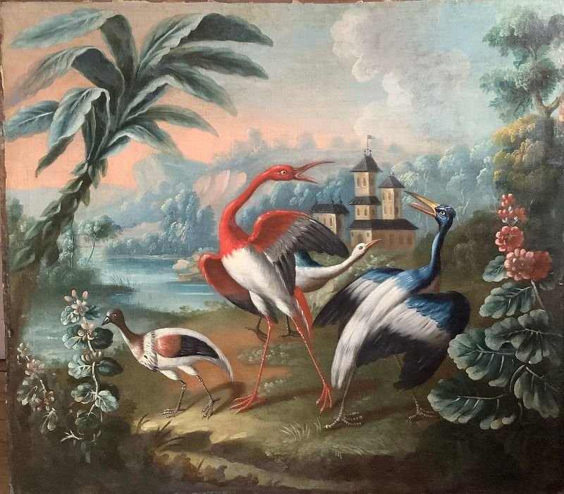 Scene Of Exotic Birds-photo-3