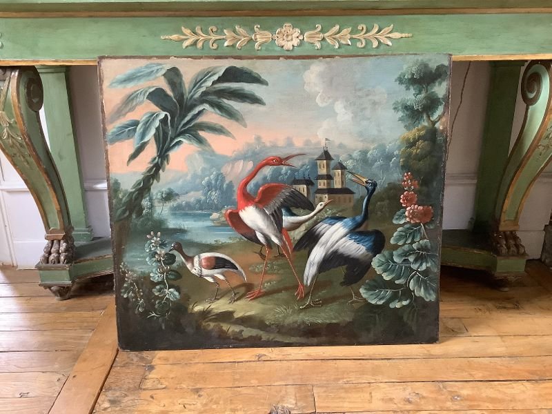 Scene Of Exotic Birds-photo-4