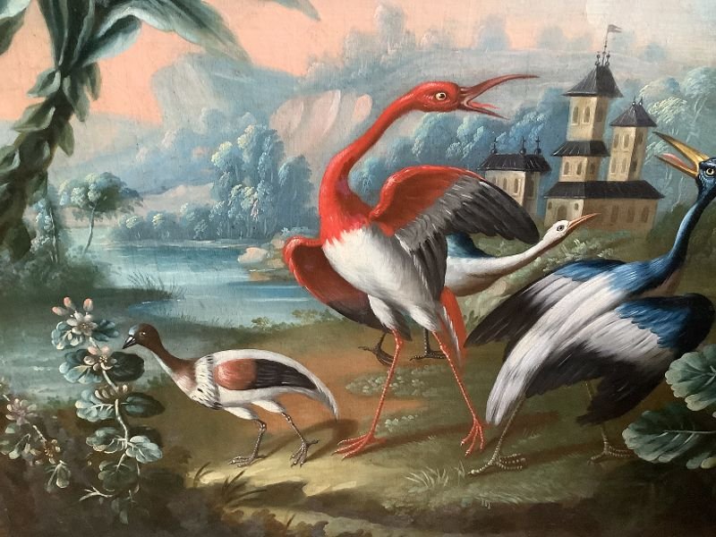 Scene Of Exotic Birds-photo-1