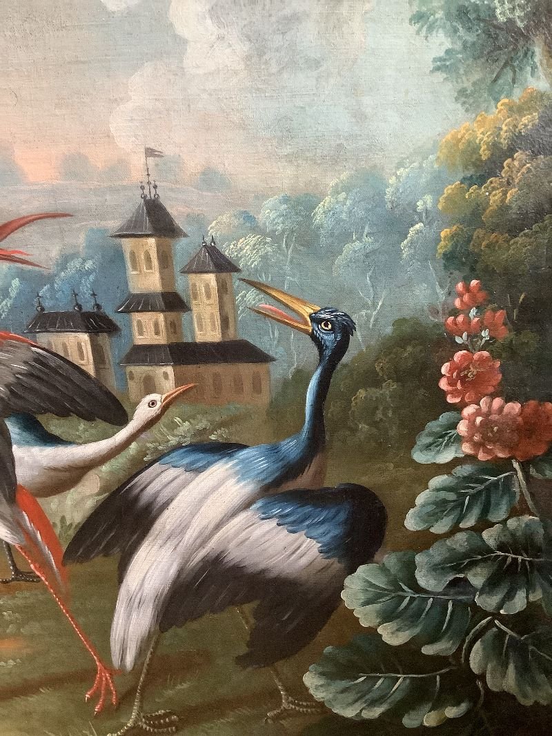 Scene Of Exotic Birds-photo-2