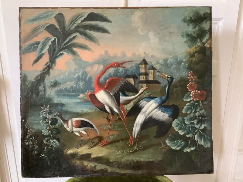 Scene Of Exotic Birds-photo-3