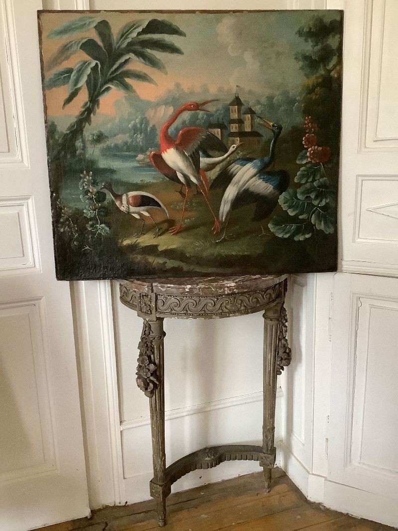 Scene Of Exotic Birds