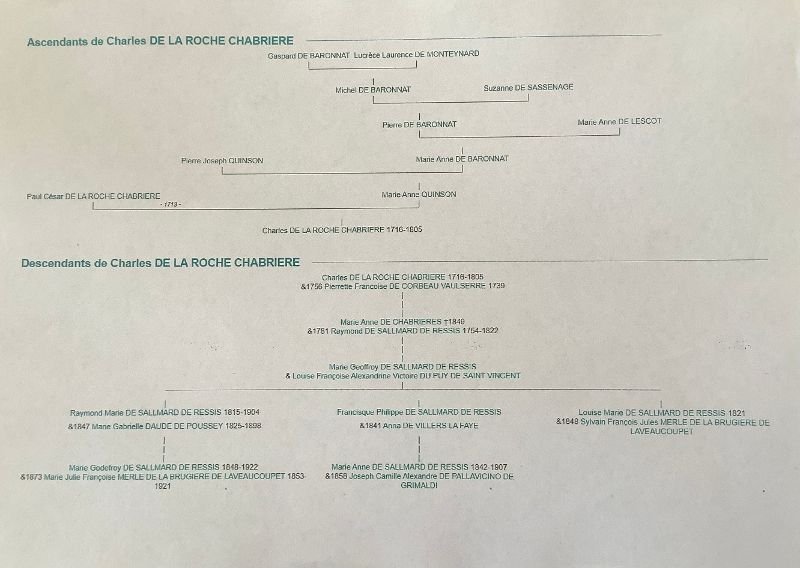 Chaise à porteurs d'époque LOUIS XVI-photo-5
