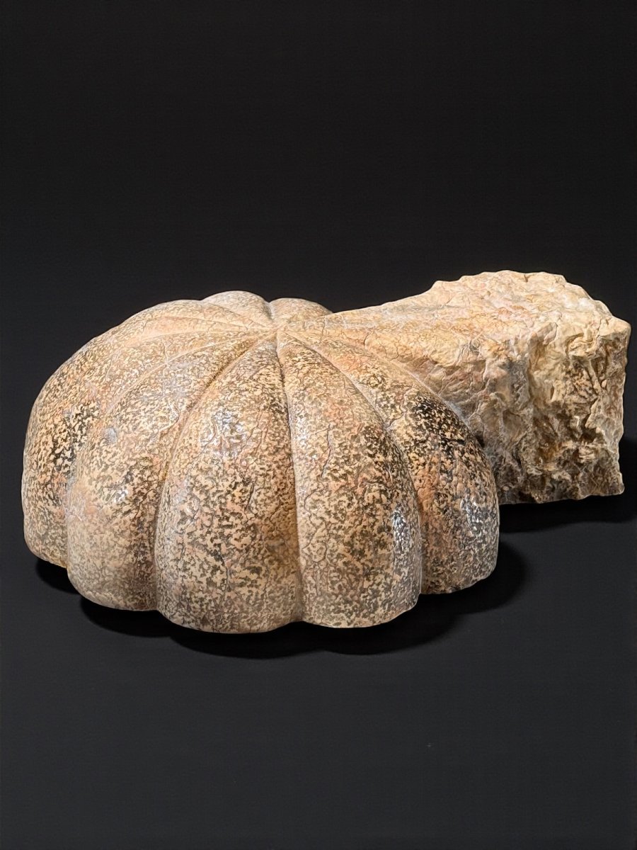 Vase coquillage/Bénitier antique, une œuvre d'art sculptée à la main, Marbre Rouge Verona -photo-2