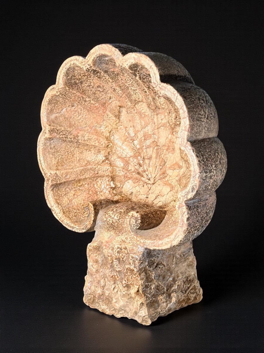 Vase coquillage/Bénitier antique, une œuvre d'art sculptée à la main, Marbre Rouge Verona -photo-4