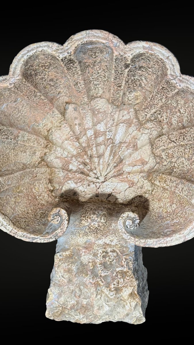Vase coquillage/Bénitier antique, une œuvre d'art sculptée à la main, Marbre Rouge Verona -photo-1