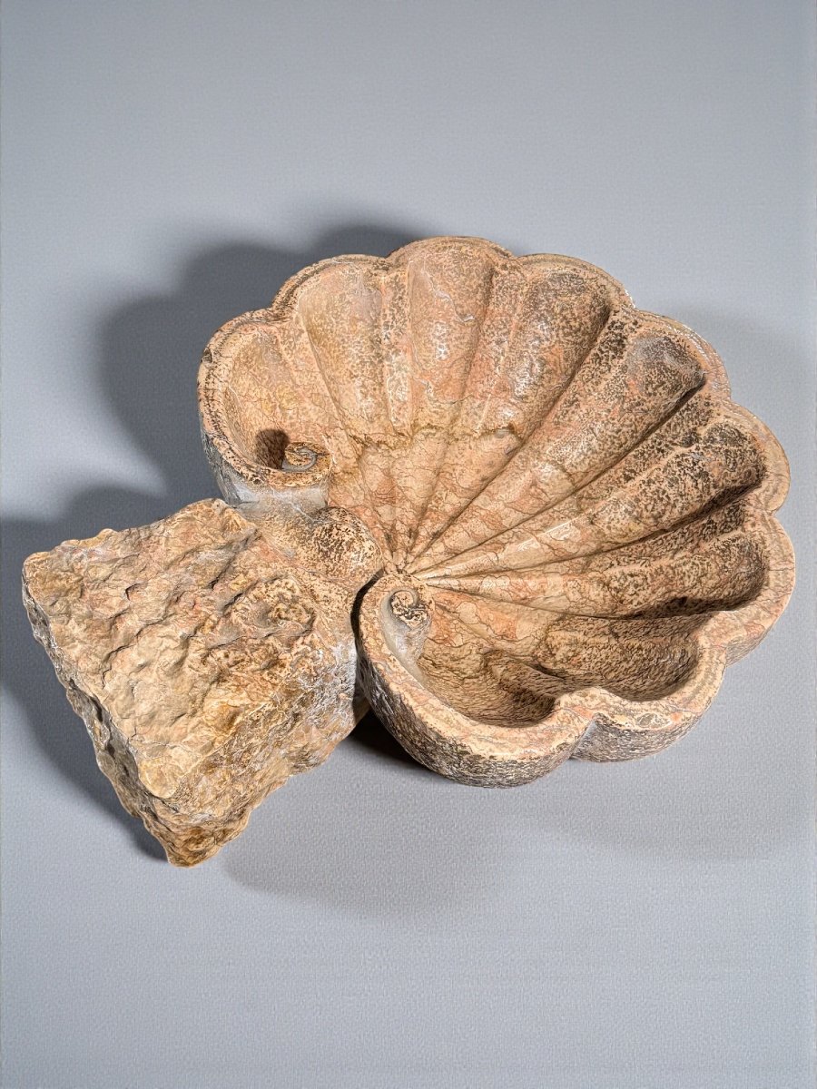 Vase coquillage/Bénitier antique, une œuvre d'art sculptée à la main, Marbre Rouge Verona -photo-5