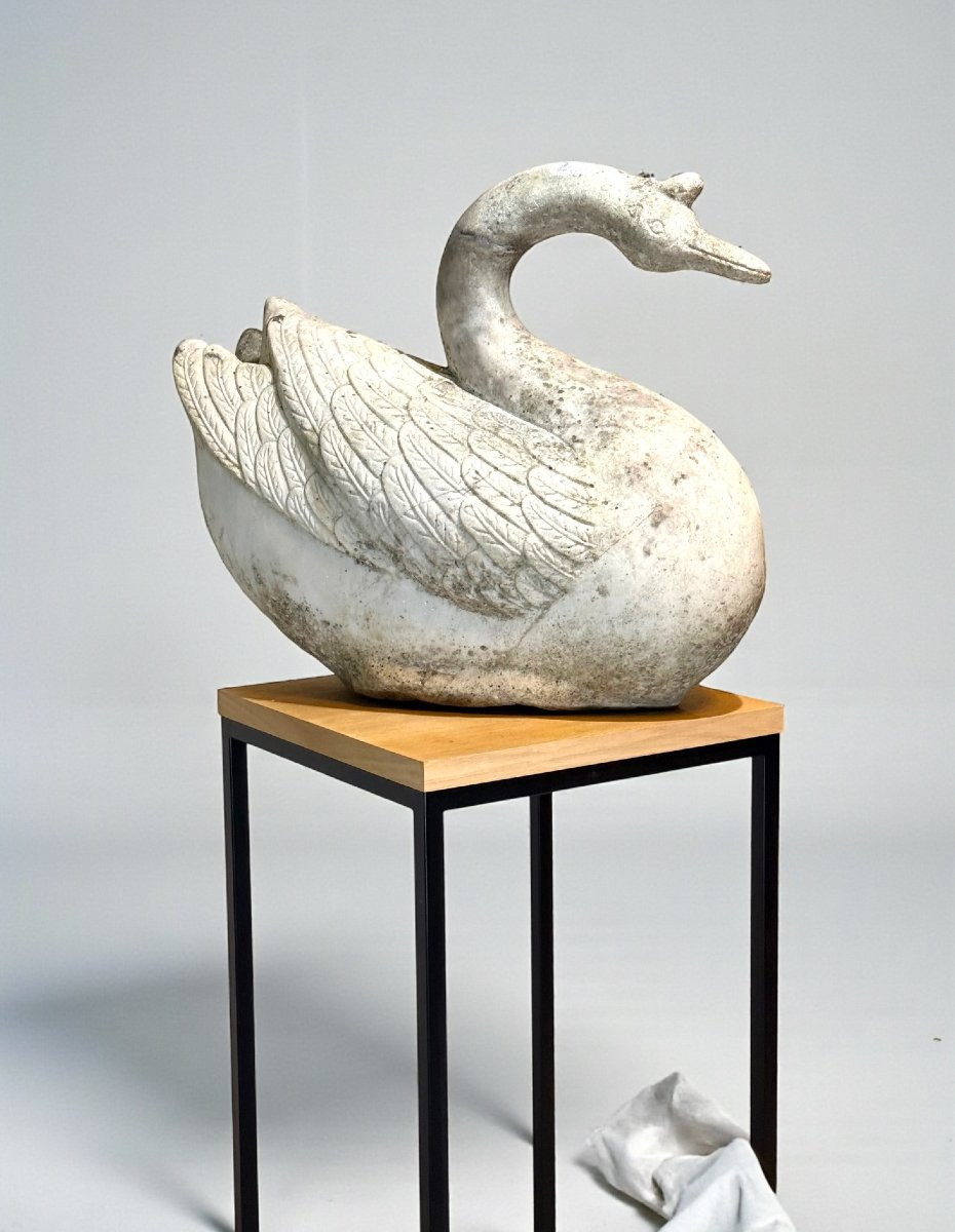 Swan In White Statuary Carrara Marble -photo-2