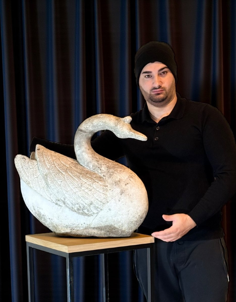 Swan In White Statuary Carrara Marble -photo-1