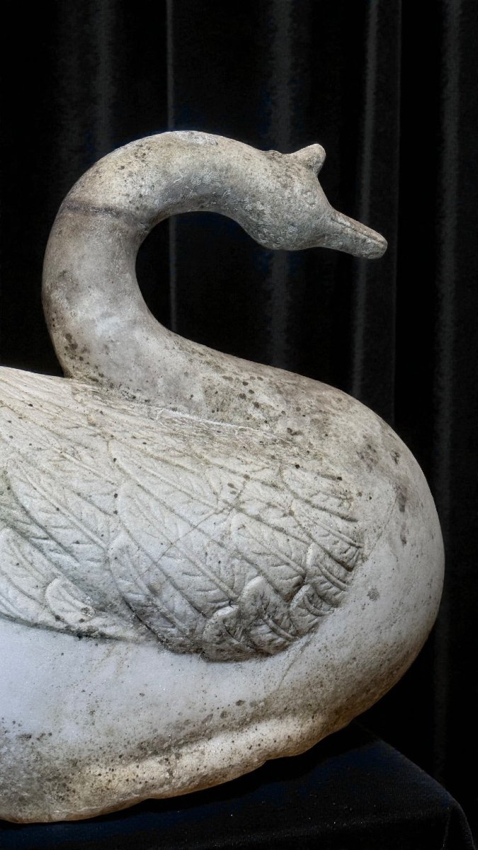 Swan In White Statuary Carrara Marble -photo-2
