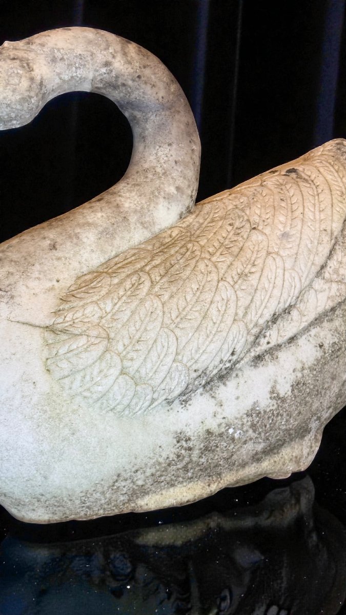 Swan In White Statuary Carrara Marble -photo-4